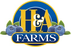 H&A Farms, LLC