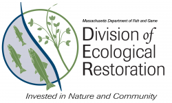 Division of Ecological Restoration