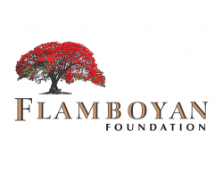 Flamboyan Foundation